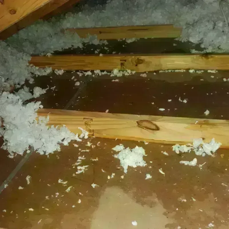 Attic Water Damage in Marshall, AK