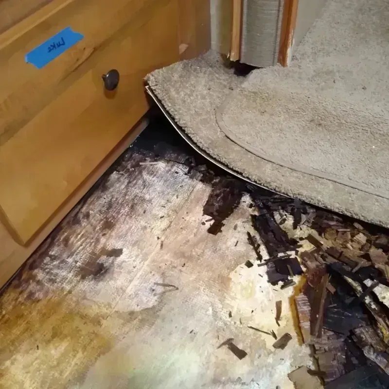 Wood Floor Water Damage in Marshall, AK